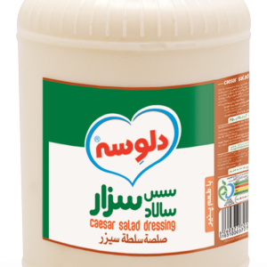 ۰۵۰ Delveseh 3500-8