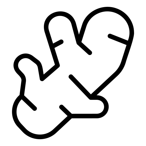 زنجبیل