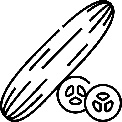 خیار 